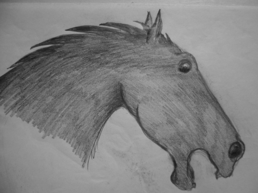 dunkles Pferd (Zeichnung 2015)