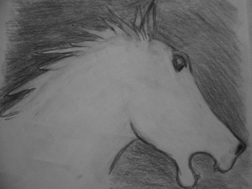 Pferd in weiß (Zeichnung 2015)