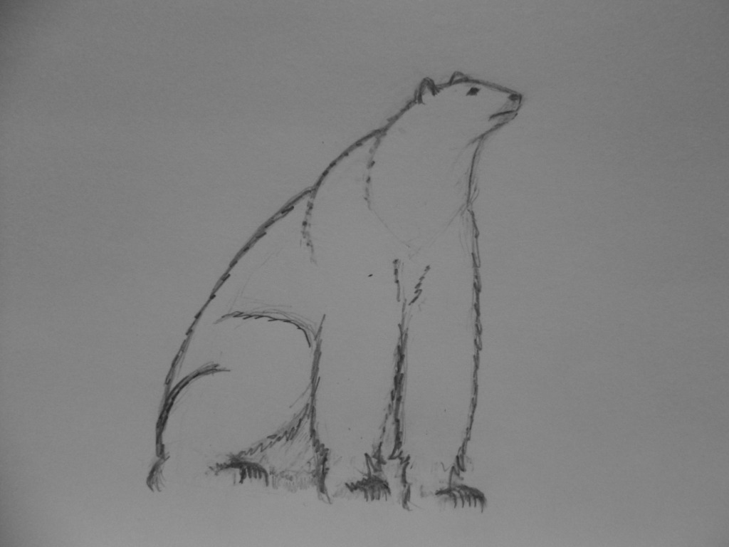 sitzender Eisbär (Zeichnung 2015)