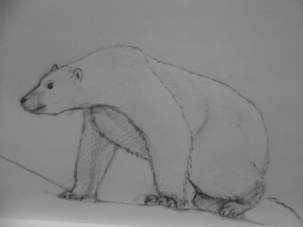 Eisbär links (Zeichnung 2015)